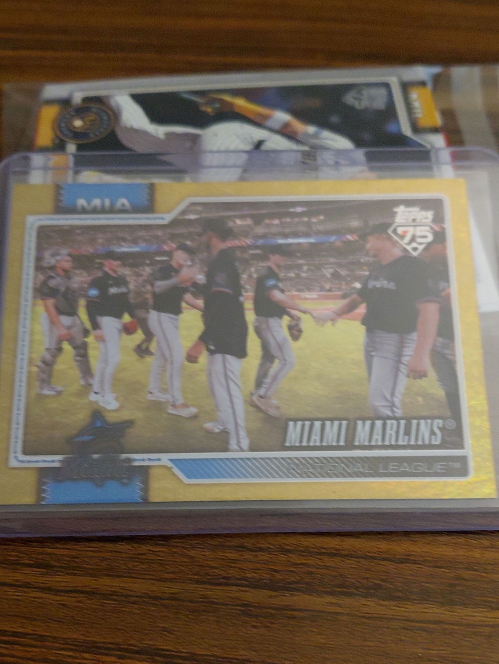 Topps Miami Marlins Gold and Black Team Card 26/50